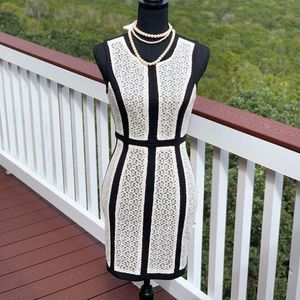 Ark & CO Black Dress White Lace Panels